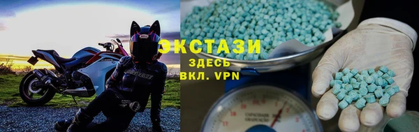 МДПВ Пересвет