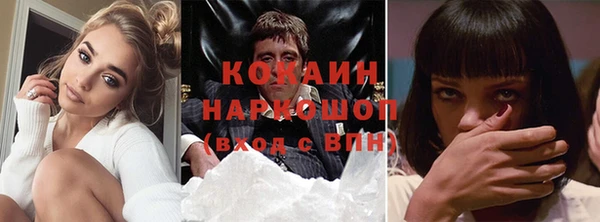 МДПВ Пересвет