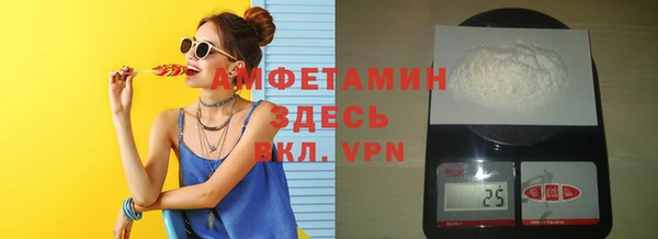 МДПВ Пересвет