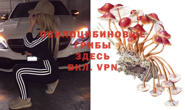 гидропоника Переславль-Залесский