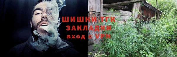 МДПВ Пересвет