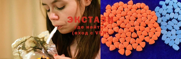 МДПВ Пересвет