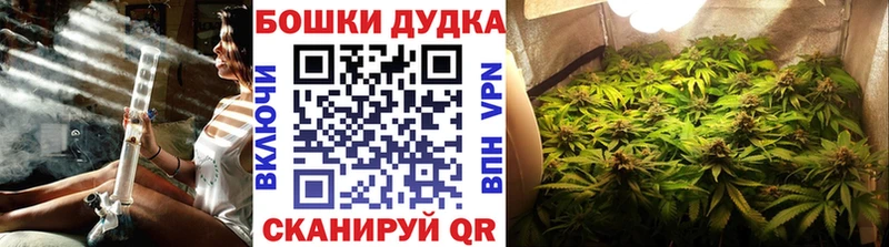 Шишки марихуана AK-47  Купить закладки  Аткарск 
